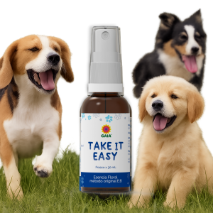 Esencia floral take it easy gaia en krino para todos los animales con estados de ánimo alterado